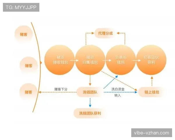 篮球比赛中争议球处理规则的判定依据与流程解析 篮球比赛中争议球处理规则的判定依据与流程解析